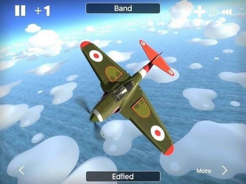 Flood Zone Flyer Aircraft Selection